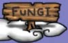 Fungi Colony
